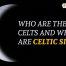 Which Celtic Animal Zodiac Sign Are You?