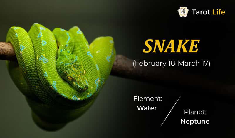 Snake-February 18-March 17