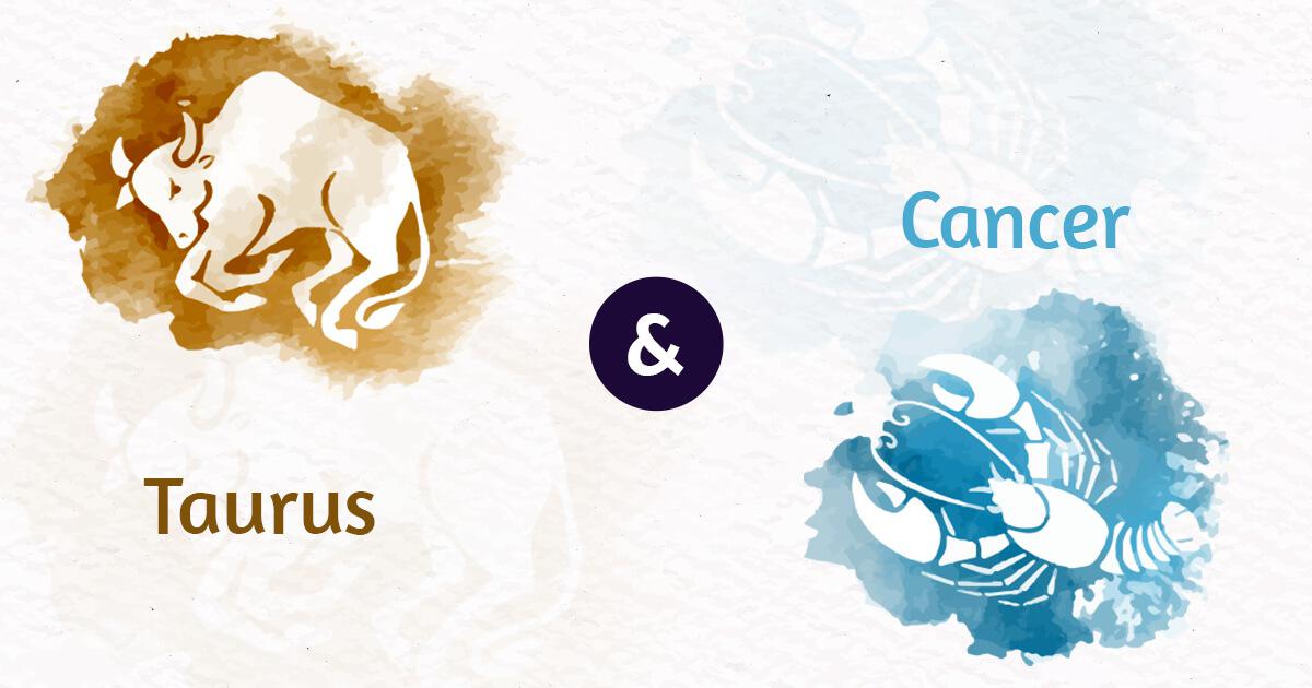 Taurus And Cancer Compatibility In Sex Love And Life
