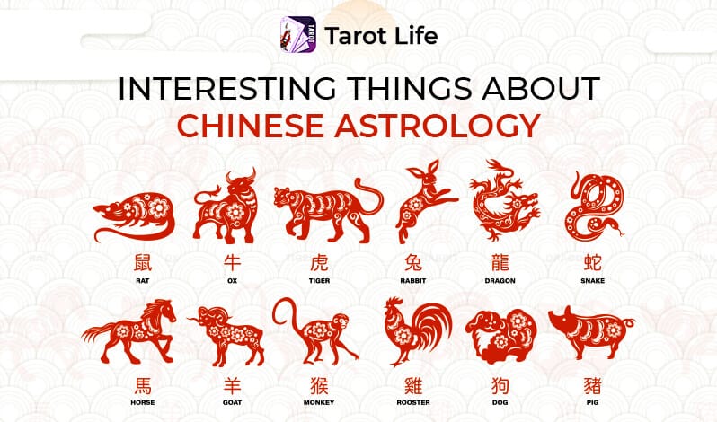 Chinese Zodiac Signs, Chart and Meaning